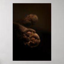 Velours Posters