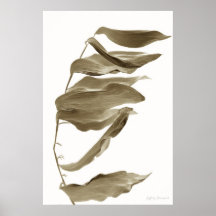 Vent, Posters