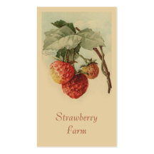 Ventes de fruit de fraises modèles de cartes de visite