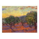 Verger olive, ciel orange par Van Gogh, art vintag Carte Postale