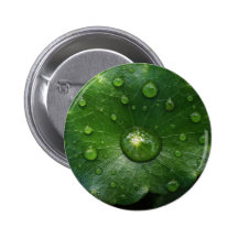 vers la lumière badges avec agrafe