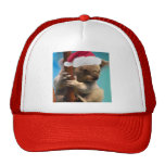 Vers le bas sous le koala de Noël Casquettes De Camionneur