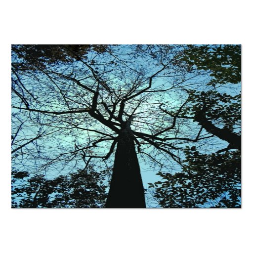 Vers le haut de l'ATC d'arbre Cartes De Visite Personnelles
