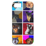 Version animale 1 de cas de l'iPhone 5 de conseil Coque iPhone 5