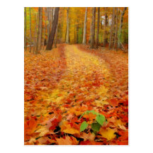 Vert toujours, cartes postales