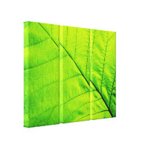 Verte toile enveloppée macro par feuille impression sur toile