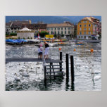 Vevey le Lac Léman Posters
