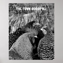 Vie de pays - affiche de coq et d'impression de po