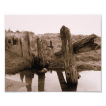 Vieille photo des barrières 8x10
