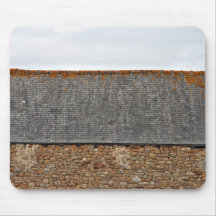 Vieux dessus de toit couvert de lichens tapis de souris
