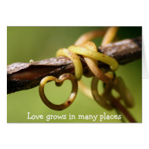 Vigne de l'amour carte de vœux