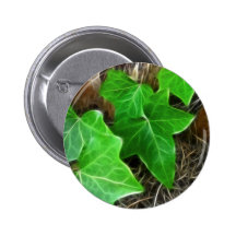 Vigne de lierre sur le palmier 5 badge avec épingle