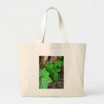 Vigne de lierre sur le palmier 5 sacs en toile