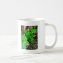 Vigne de lierre sur le palmier 5 tasse à café