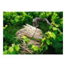Vignes Invitation