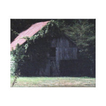 Vignes sur la grange impressions sur toile