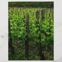 VIGNOBLE ITALIEN TOSCANE PROSPECTUS PERSONNALISÉS