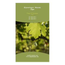 Vin de raisin de vignoble d'établissement vinicole cartes de visite professionnelles