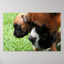 Vindy et Pups-13 Affiche