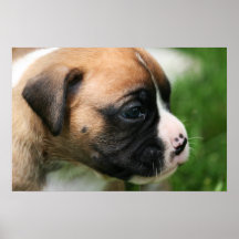 Vindy et Pups-26 Poster