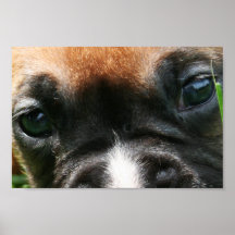 Vindy et Pups-55 Posters