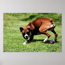 Vindy et Pups-99 Poster