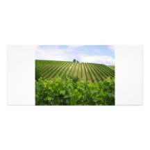 Vineyard - Vignoble (Bordeaux - France) 02 Double Carte En Couleur
