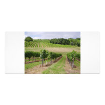 Vineyard - Vignoble (Bordeaux - France) 03 Doubles Cartes