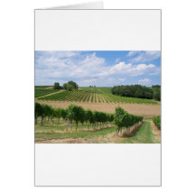 Vineyard - Vignoble (Bordeaux - France) 04 Carte De Vœux