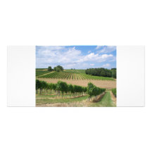 Vineyard - Vignoble (Bordeaux - France) 04 Carte Double