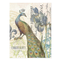 Vintage French peacock floral postcard