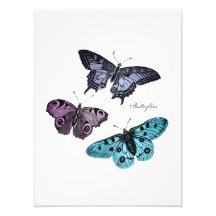 Vintage Teal Blue Purple Pink Butterfly Template Photo