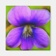 Violette de ressort - puissance pourpre ! magnets pour réfrigérateur