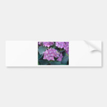 Violettes africaines roses autocollants pour voiture