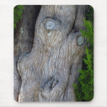 Visage dans l'arbre de Cypress Tapis De Souris