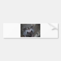 Visage de hérisson adhésifs pour voiture