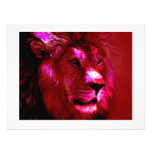 Visage de lion faire-parts