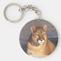 Visage de puma porte-clefs