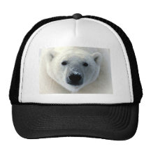 Visage d'ours blanc casquette de camionneur