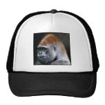 Visage grunge de plan rapproché de gorille de plai casquettes