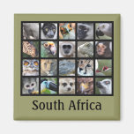 Visages d'animal sauvage -- Mammifères, reptiles,  Aimants