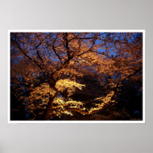 Visionnement de Hanami Posters