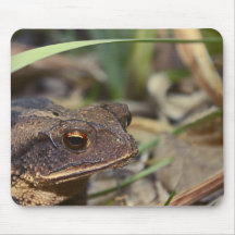 Visiteur de jardin tapis de souris