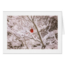 Visiteur de matin de Noël Carte