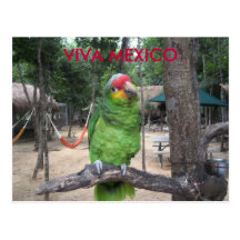 Vivats Mexique Cartes Postales