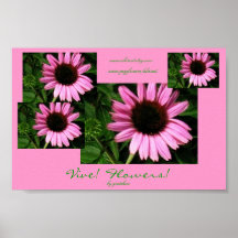 Vive ! Fleurs ! Affiche