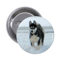 Voici le problème pin's avec agrafe