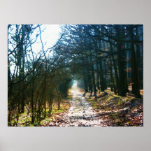 Voie automnale affiche