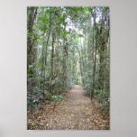 Voie par la forêt affiches
