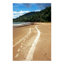 voies de plage posters